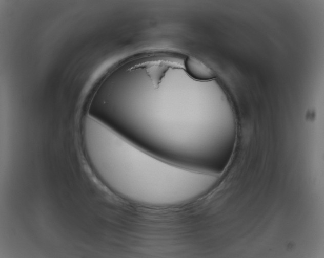 X0000093401416200710120846