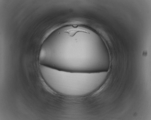 X0000093401417200710120846
