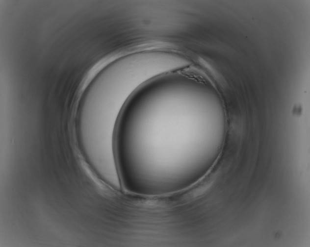 X0000093401418200710120846