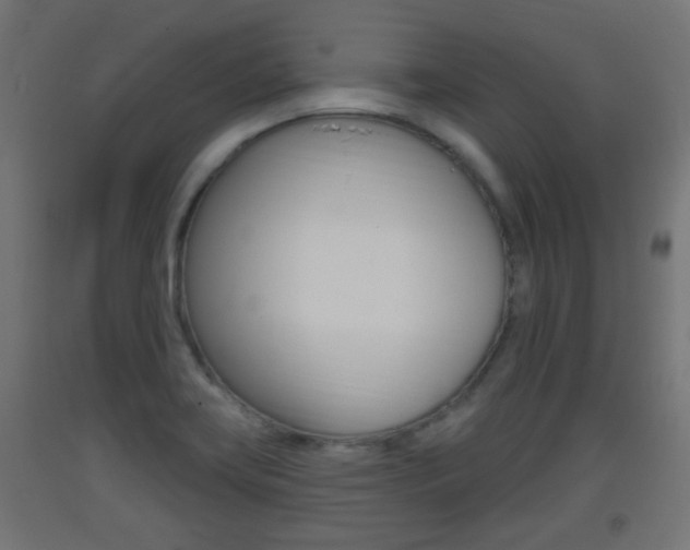 X0000093401419200710120846