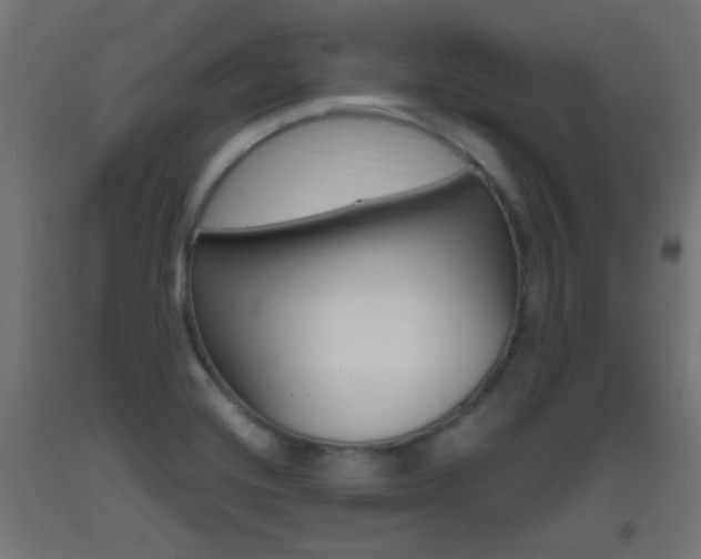 X0000093401420200710120846