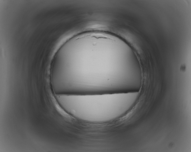 X0000093401421200710120846