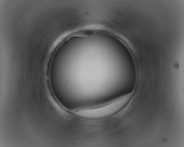 X0000093401422200710120846