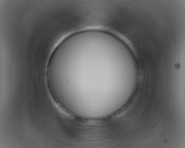 X0000093401423200710120846