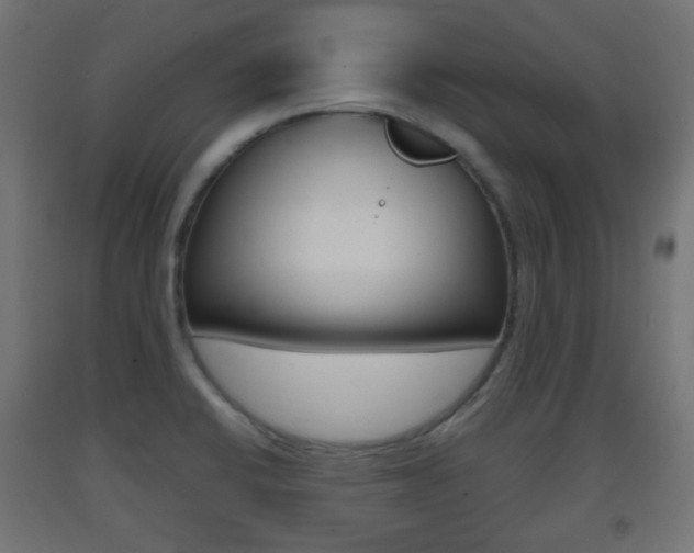 X0000093401424200710120846