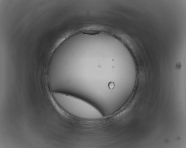 X0000093401425200710120846