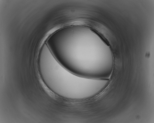 X0000093401426200710120846