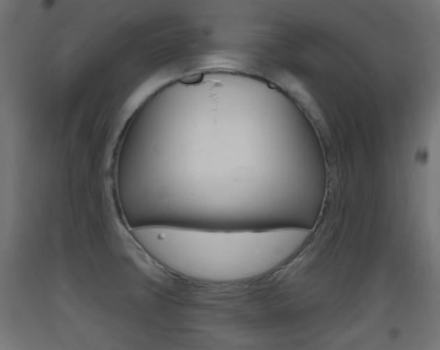 X0000093401427200710120846