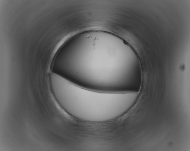 X0000093401428200710120846