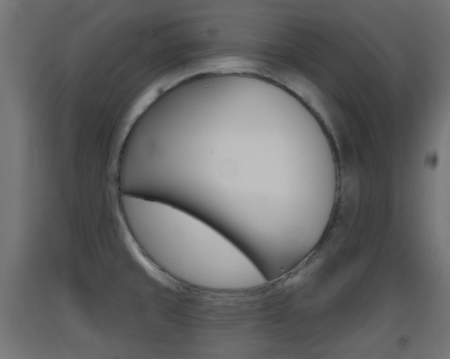 X0000093401429200710120846
