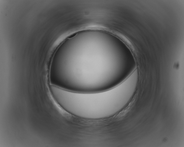 X0000093401430200710120846