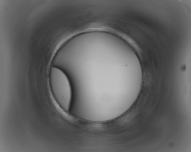 X0000093401431200710120846
