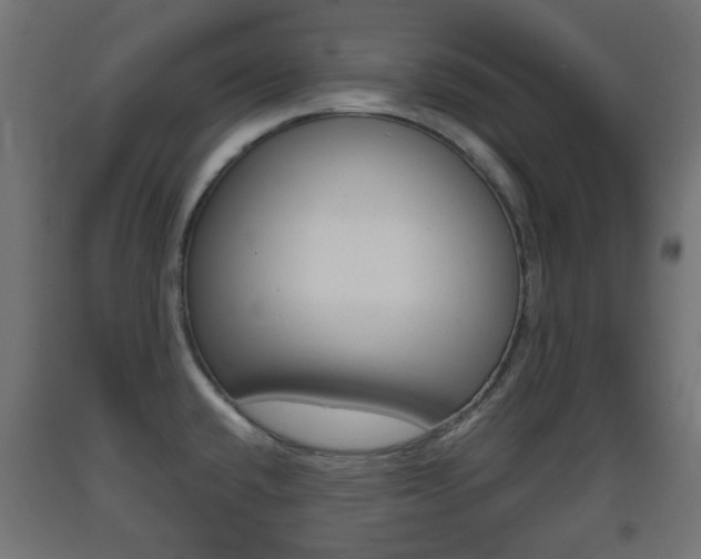 X0000093401432200710120846