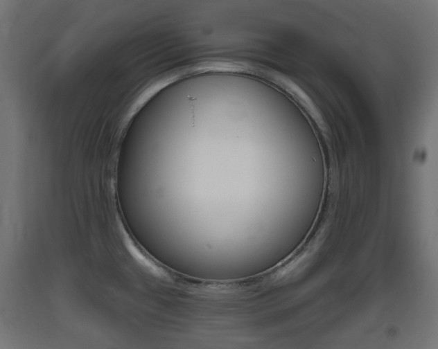 X0000093401433200710120846