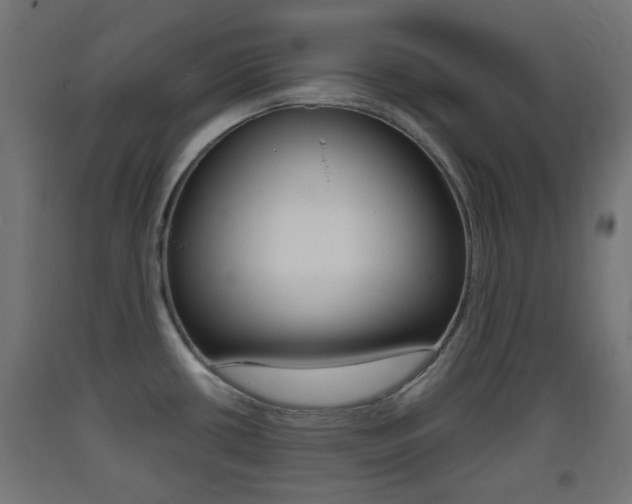 X0000093401434200710120846