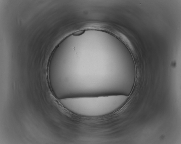 X0000093401435200710120846