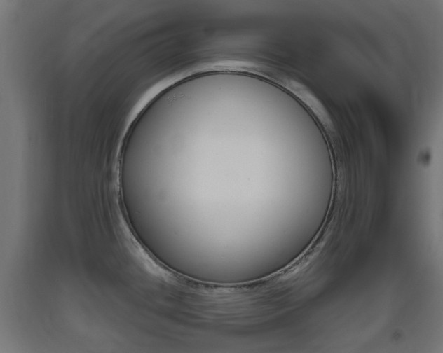 X0000093401436200710120846