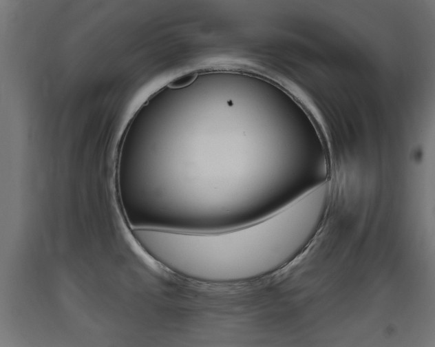 X0000093401437200710120846