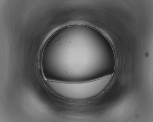 X0000093401438200710120846