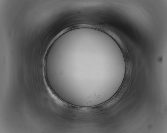 X0000093401439200710120847