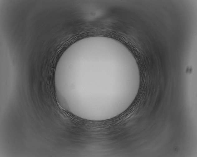 X0000093401441200710120846
