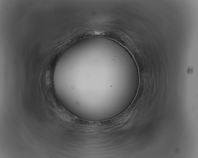 X0000093401442200710120846