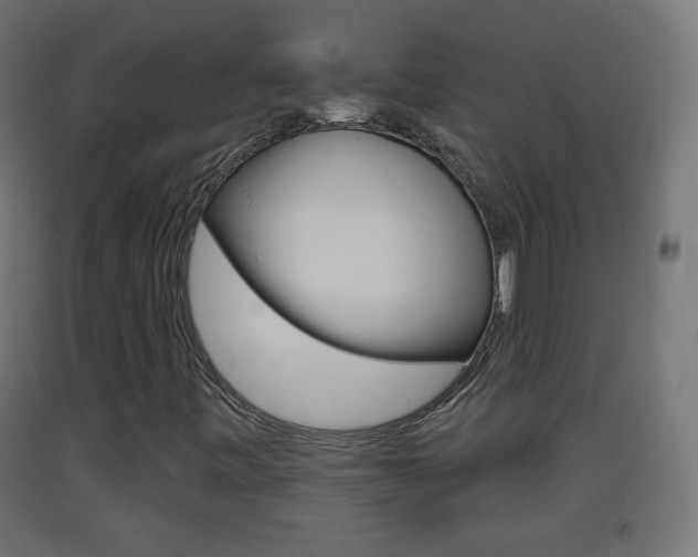 X0000093401443200710120846
