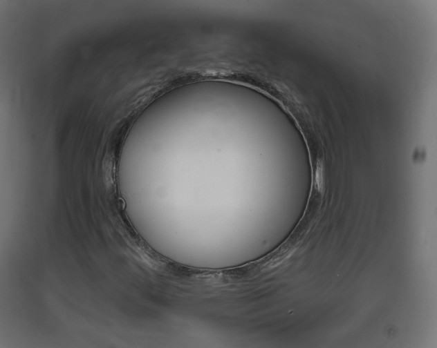 X0000093401444200710120846