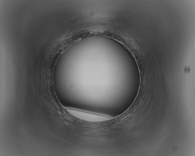 X0000093401445200710120846
