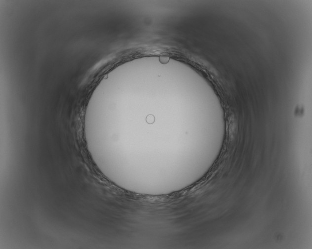 X0000093401446200710120846
