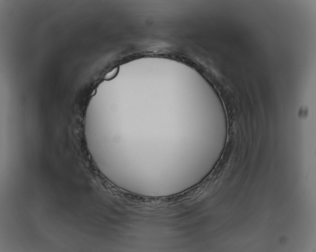 X0000093401447200710120846
