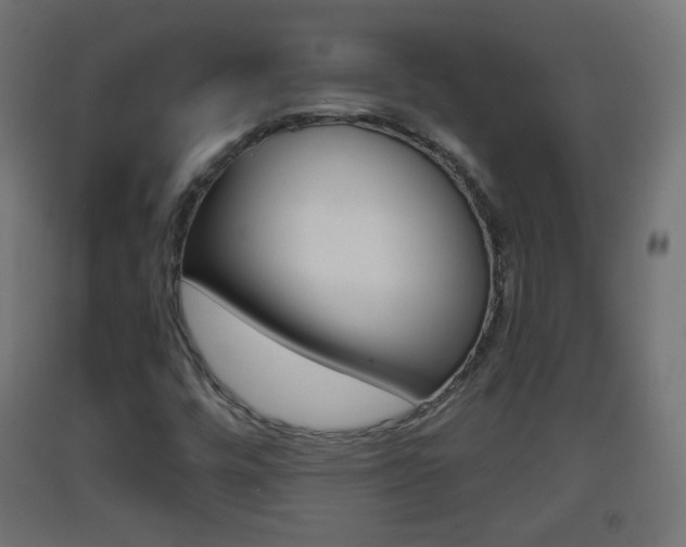 X0000093401448200710120846