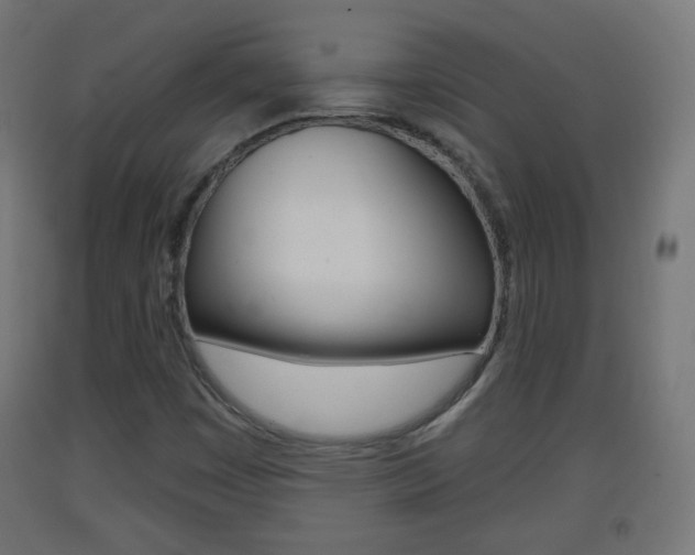 X0000093401449200710120846