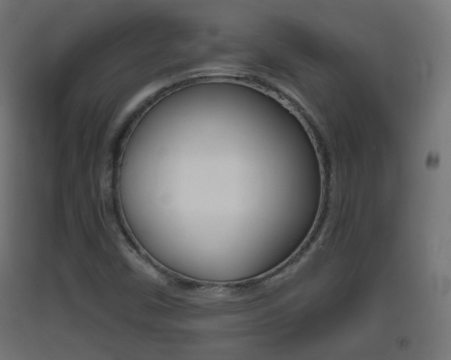 X0000093401450200710120846