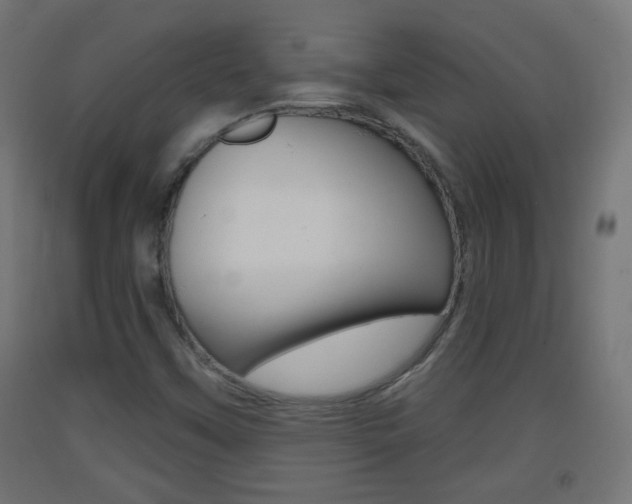 X0000093401451200710120846