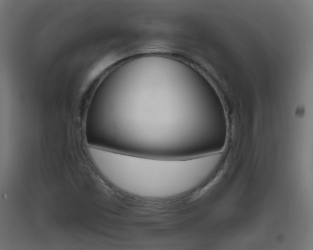 X0000093401453200710120846