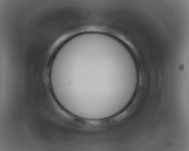 X0000093401454200710120846