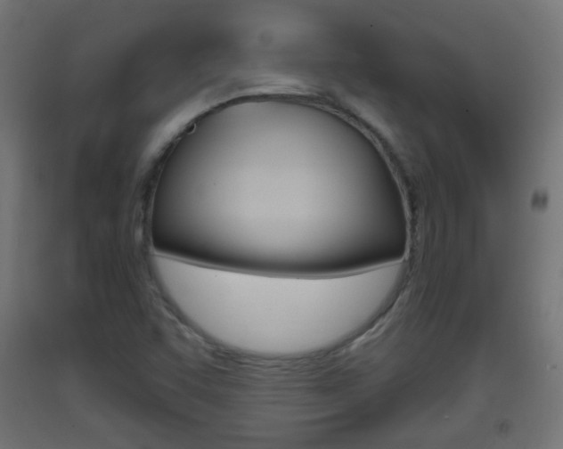 X0000093401455200710120846