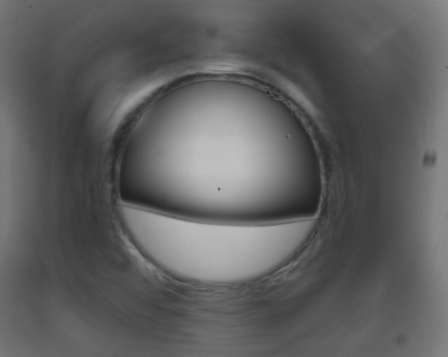 X0000093401456200710120846