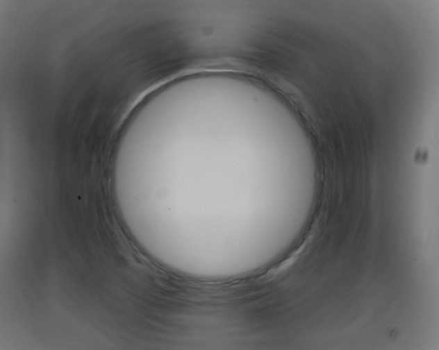 X0000093401457200710120846