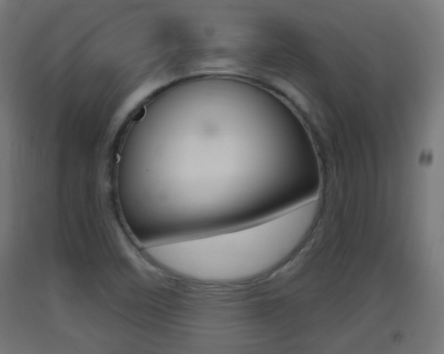 X0000093401458200710120846