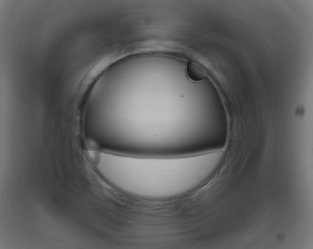 X0000093401459200710120846