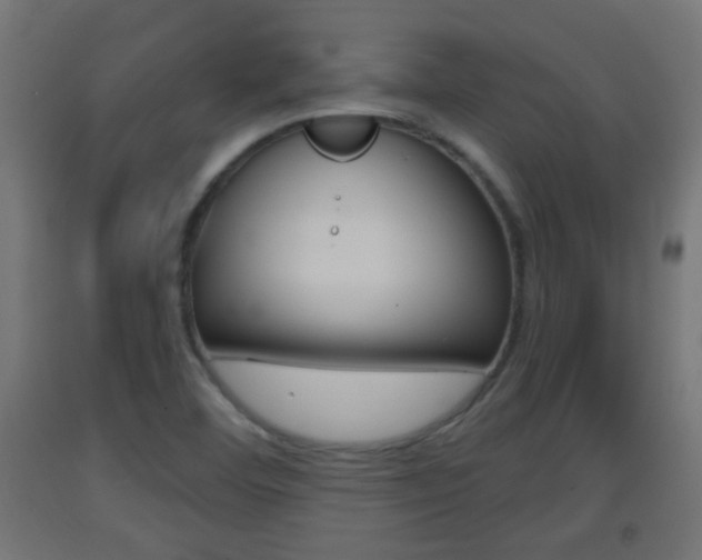 X0000093401460200710120846