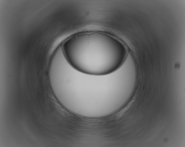 X0000093401461200710120846