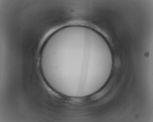 X0000093401462200710120846