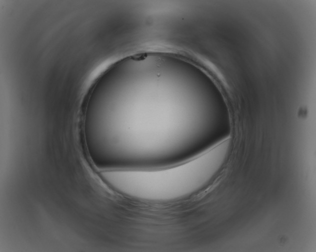 X0000093401463200710120846