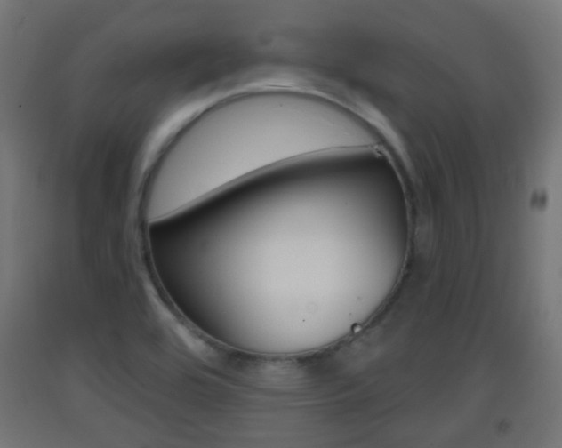 X0000093401464200710120846