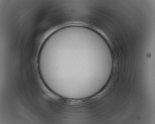 X0000093401466200710120846