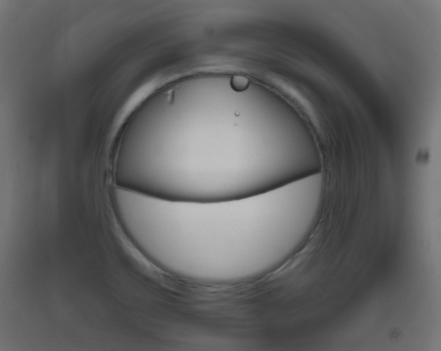 X0000093401467200710120846