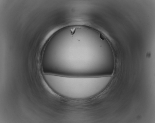 X0000093401468200710120846
